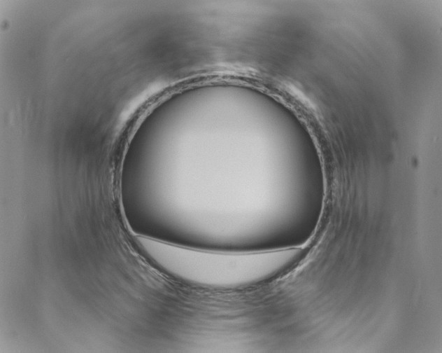 X0000089711310200706210906