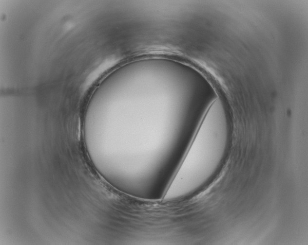X0000089711317200706210906