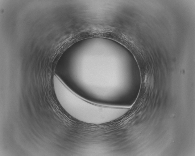 X0000089711348200706210905