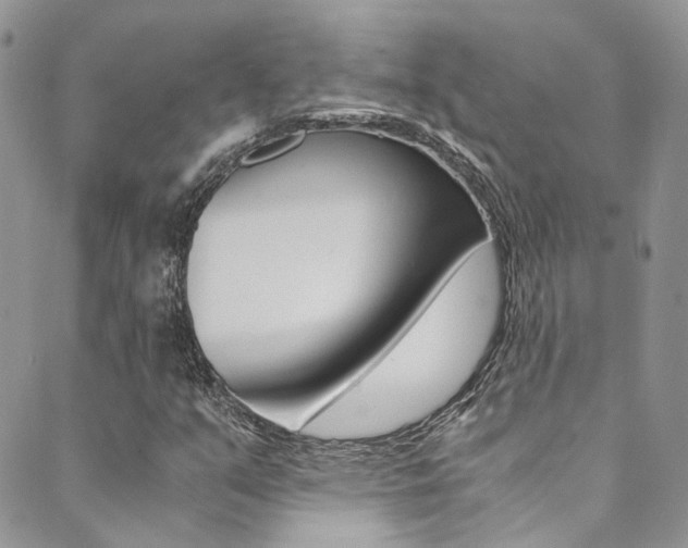 X0000089711351200706210905