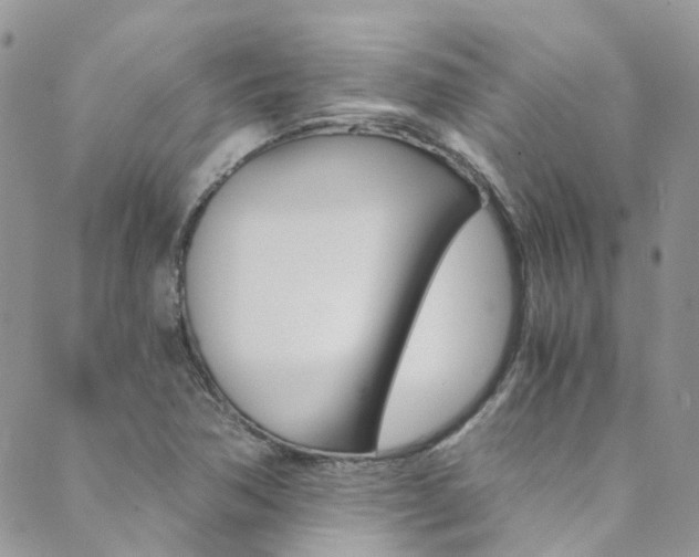 X0000089711362200706210905