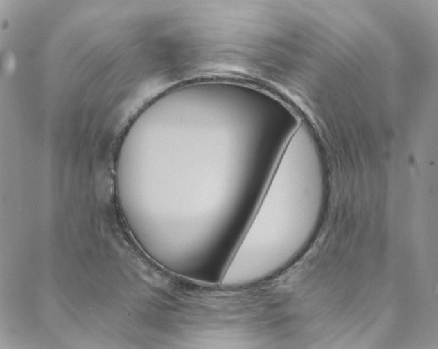 X0000089711363200706210905
