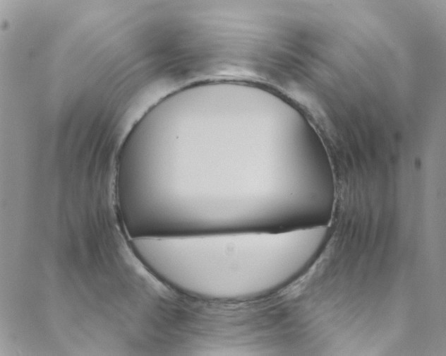 X0000089711374200706210905