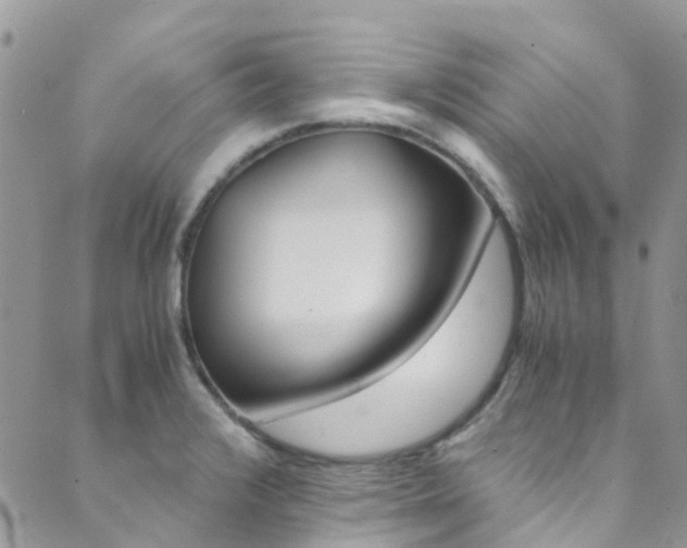 X0000089711376200706210905