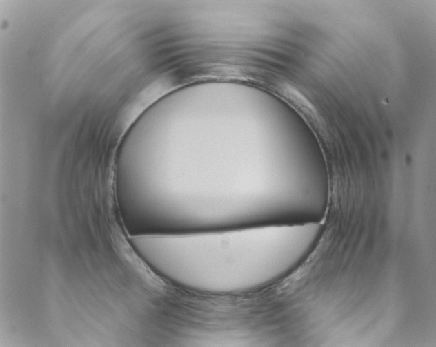 X0000089711378200706210905