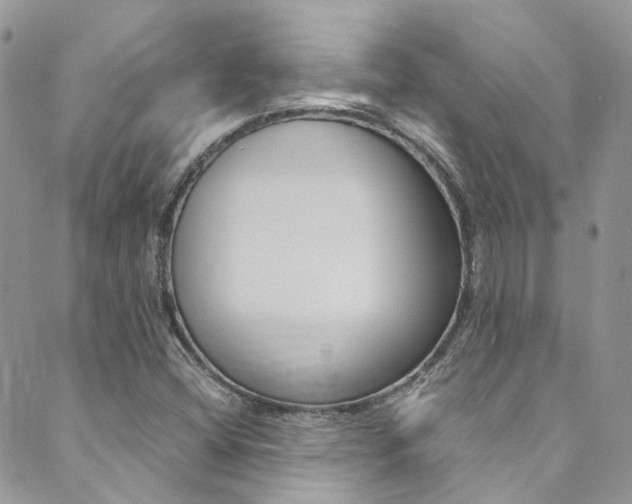 X0000089711404200706210904