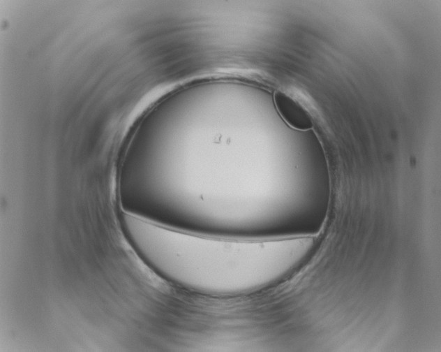 X0000089711420200706210904
