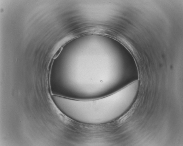 X0000089711434200706210905