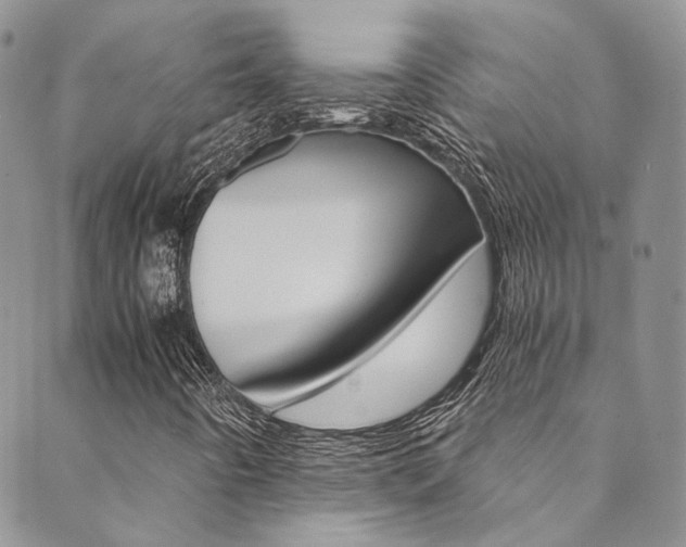 X0000089711442200706210904