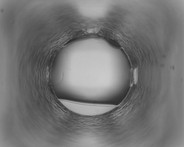 X0000089711443200706210904