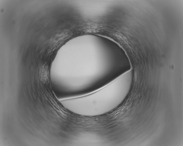X0000089711444200706210904