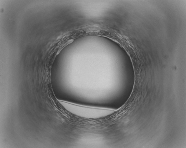X0000089711445200706210904