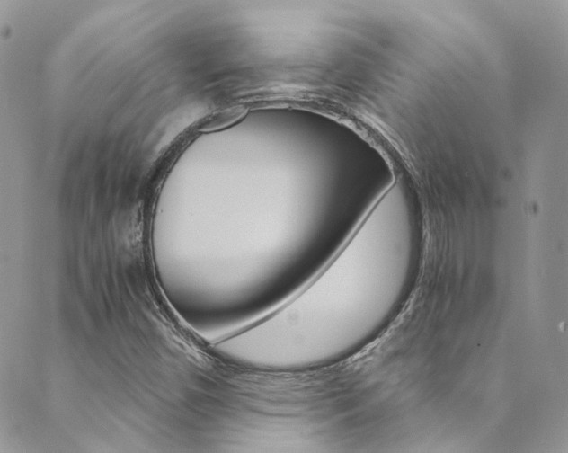 X0000089711450200706210904