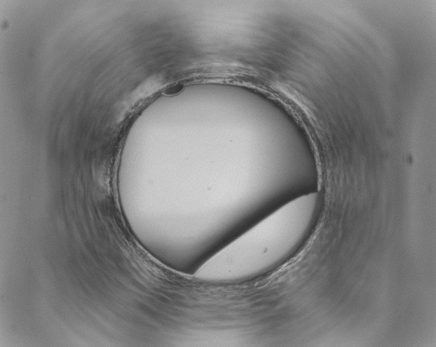 X0000089711451200706210904