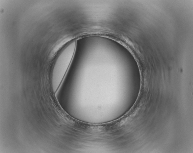 X0000089711453200706210904