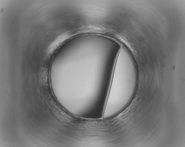 X0000089711455200706210904