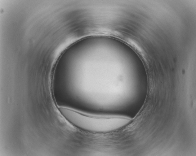 X0000089711480200706210903
