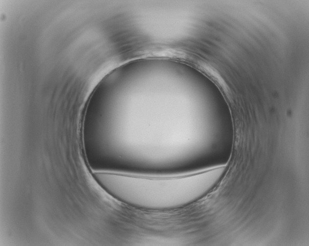 X0000089711483200706210903
