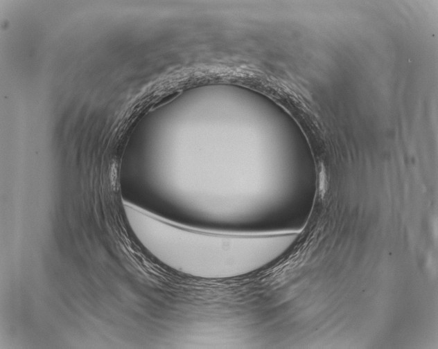 X0000089711492200706210902