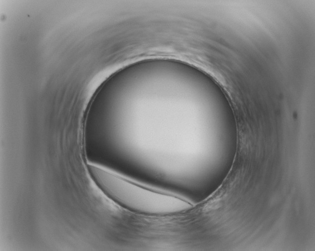 X0000089711527200706210903