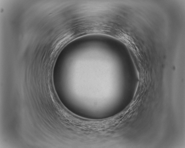 X0000089710001200706211355