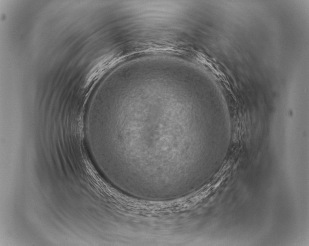 X0000089710002200706211355