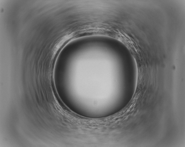 X0000089710003200706211355