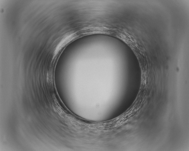 X0000089710004200706211355