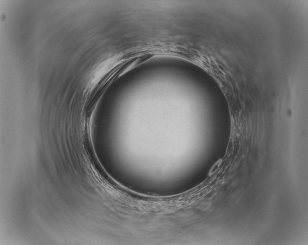 X0000089710005200706211355