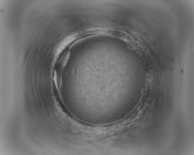 X0000089710006200706211355