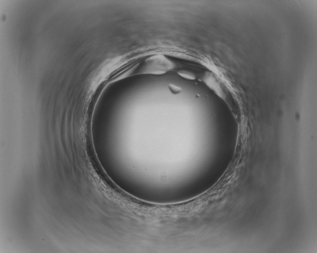 X0000089710007200706211355