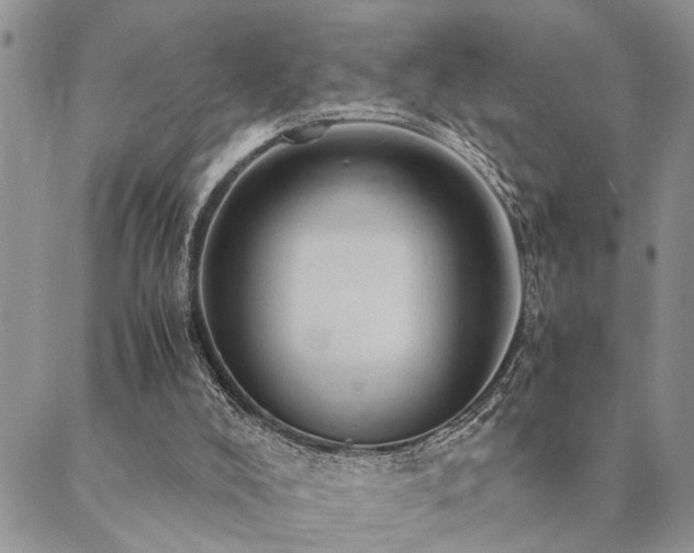 X0000089710008200706211355