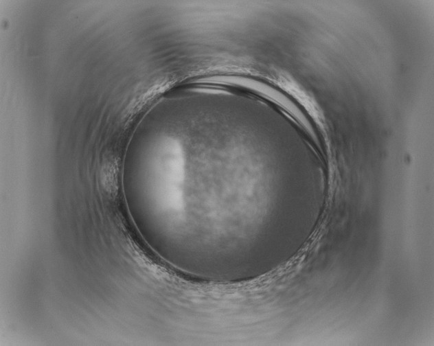 X0000089710009200706211355