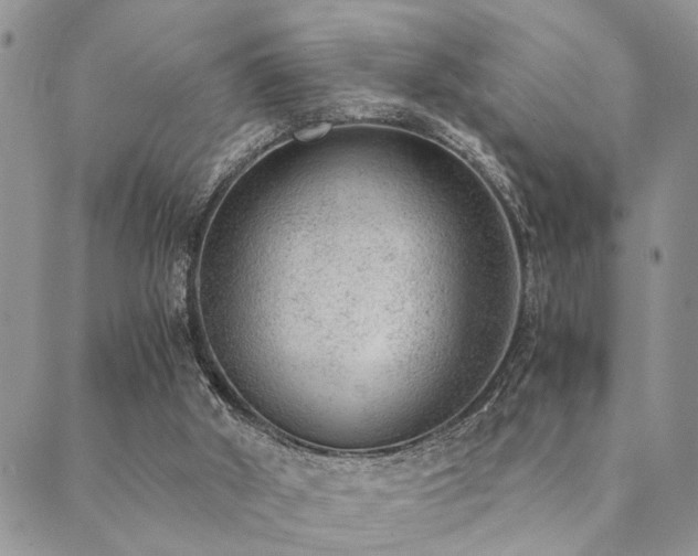 X0000089710010200706211355