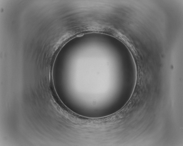 X0000089710011200706211355