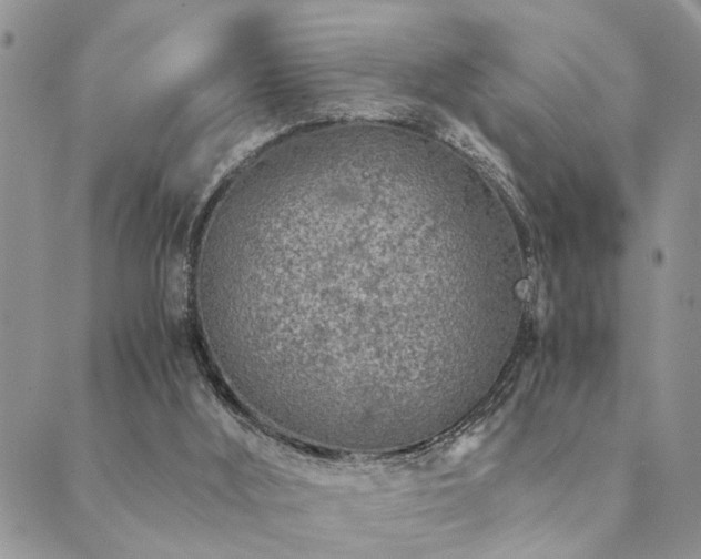 X0000089710012200706211355