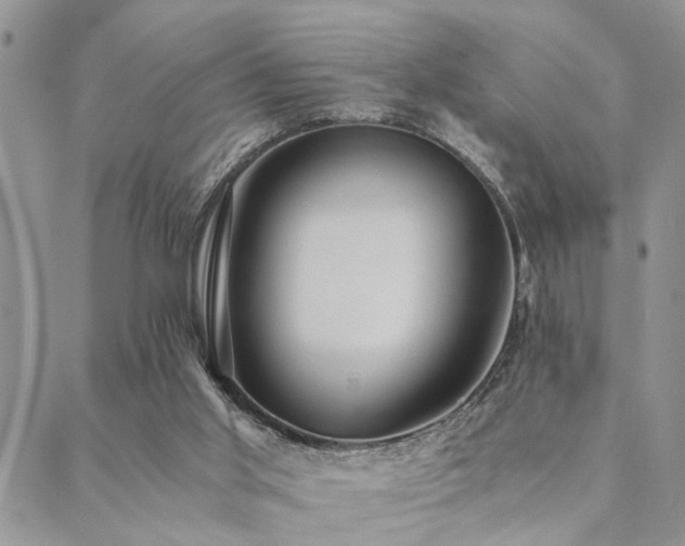 X0000089710013200706211355