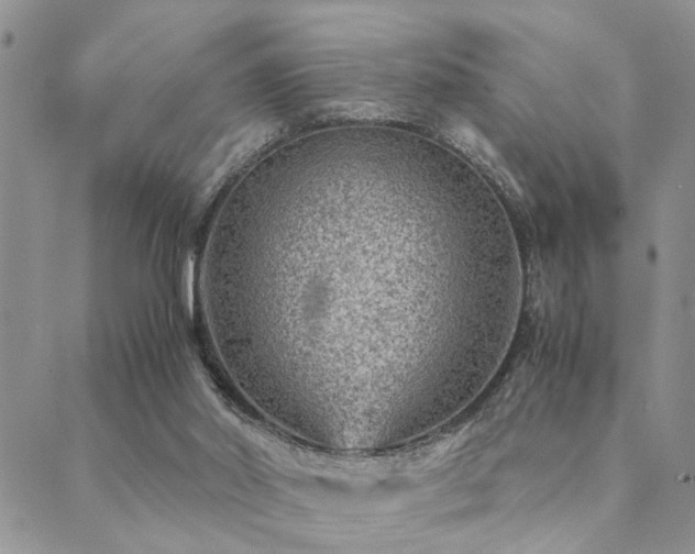 X0000089710014200706211355