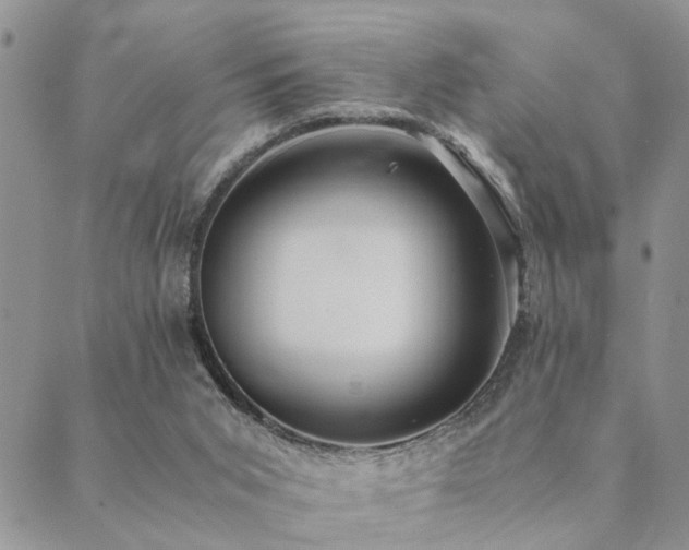 X0000089710015200706211355