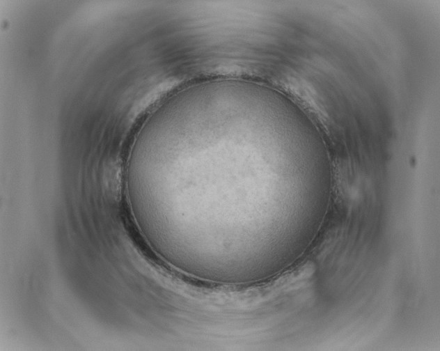 X0000089710016200706211355