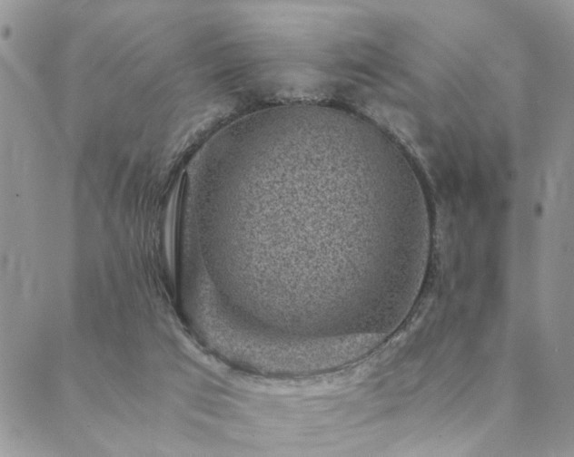 X0000089710017200706211355