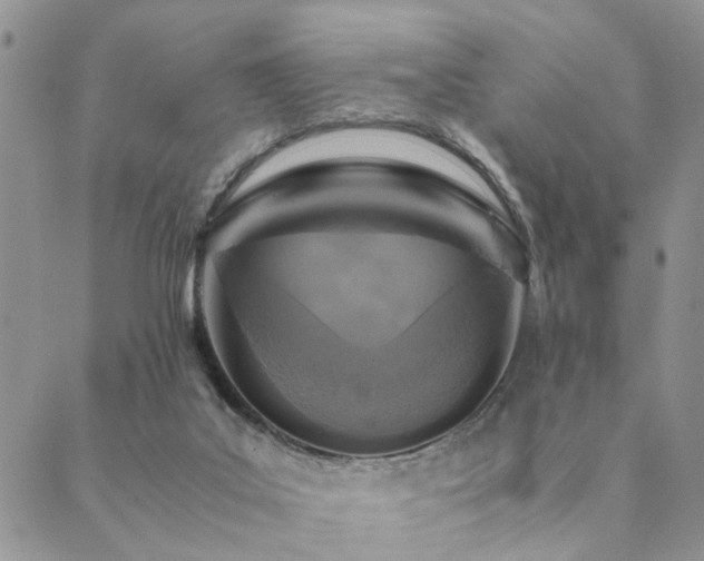 X0000089710019200706211355