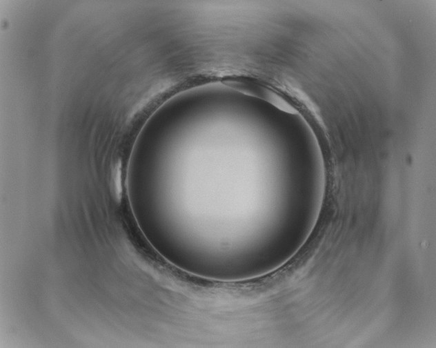 X0000089710020200706211355