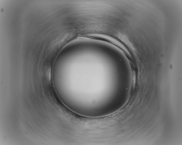 X0000089710021200706211355