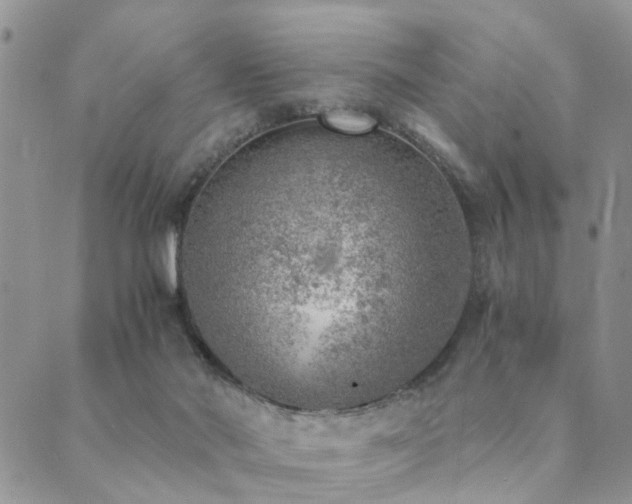 X0000089710022200706211355