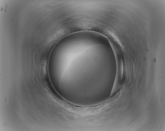 X0000089710023200706211355