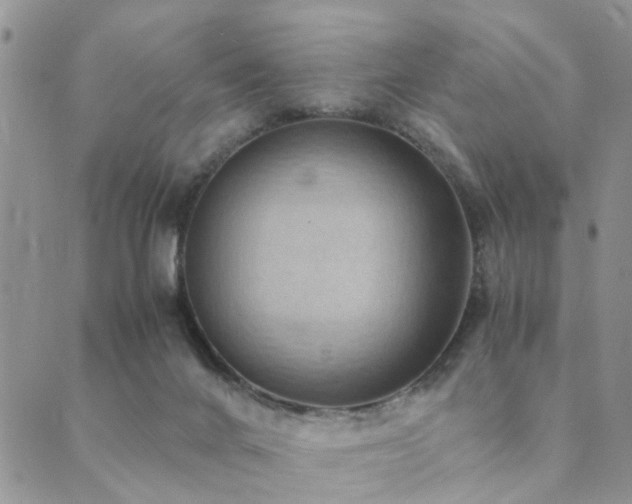 X0000089710024200706211355