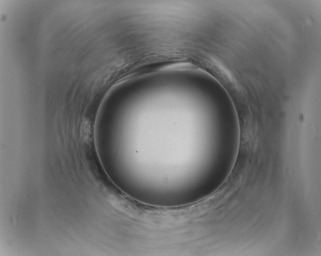 X0000089710025200706211355