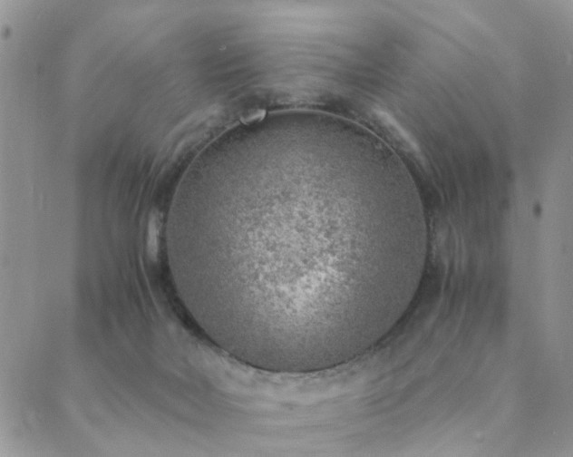 X0000089710026200706211355