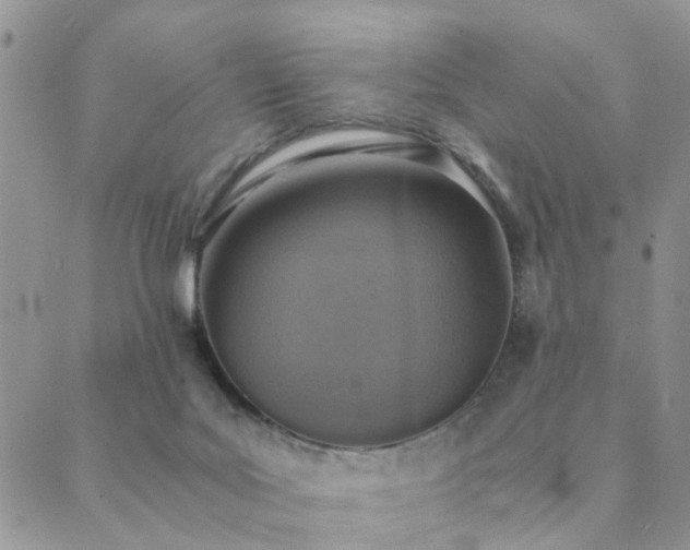 X0000089710027200706211355